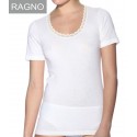 Canottiera maglia intima Ragno 100 merino manica corta 073097