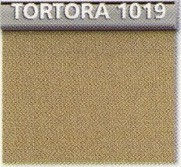 Tortora 1019